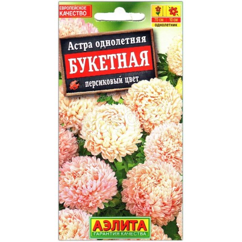 Астра Букетная персиковый цвет