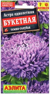 Астра Букетная темно-голубая