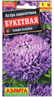 Астра Букетная темно-голубая
