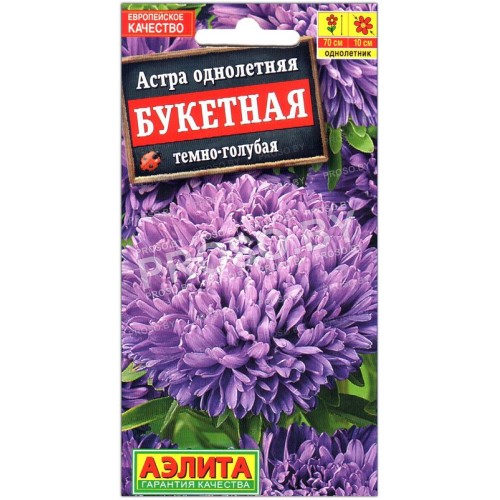 Астра Букетная темно-голубая