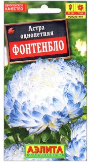 Астра Фонтенбло