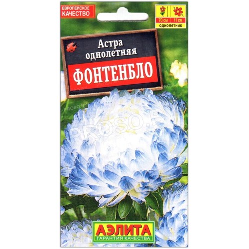 Астра Фонтенбло