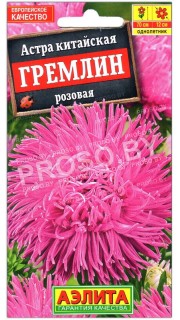 Астра Гремлин розовая