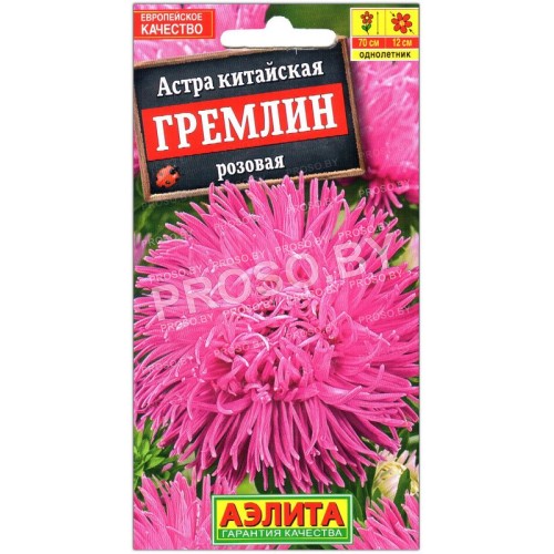 Астра Гремлин розовая
