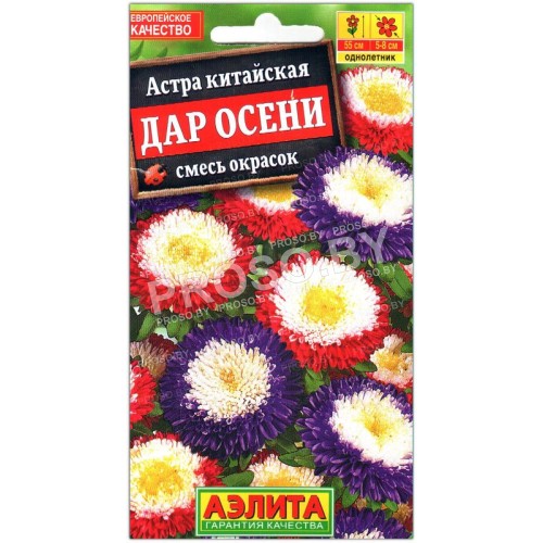 Астра китайская Дар осени, смесь