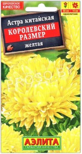 Астра китайская Королевский размер Желтая