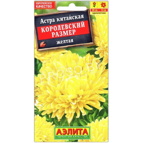 Астра китайская Королевский размер Желтая