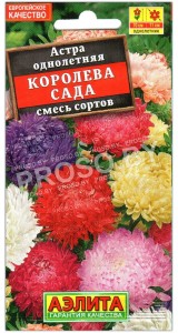 Астра Королева сада, смесь