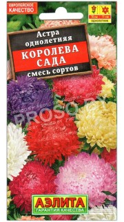 Астра Королева сада, смесь