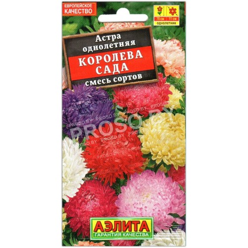 Астра Королева сада, смесь