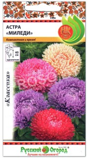 Астра Миледи