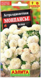 Астра Монпансье белая