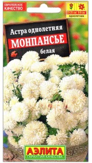Астра Монпансье белая