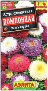 Астра Помпонная, смесь