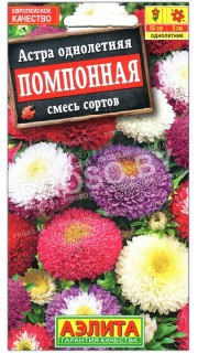 Астра Помпонная, смесь