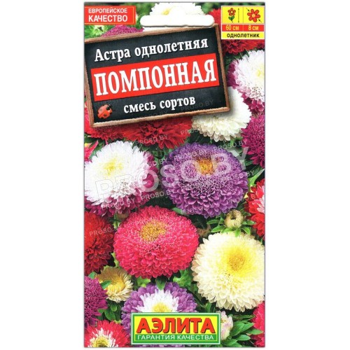 Астра Помпонная, смесь