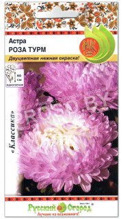 Астра Роза Турм
