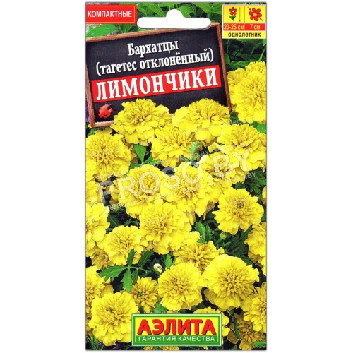 Бархатцы отклоненные Лимончики