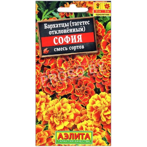 Бархатцы отклоненные София, смесь