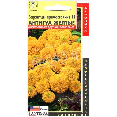 Бархатцы прямостоячие Антигуа желтый F1