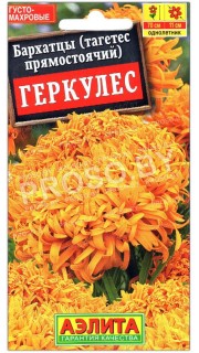 Бархатцы прямостоячие Геркулес