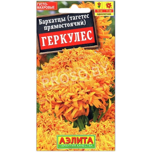 Бархатцы прямостоячие Геркулес