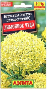 Бархатцы прямостоячие Лимонное чудо