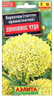Бархатцы прямостоячие Лимонное чудо