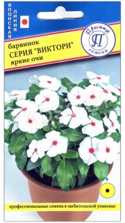 Барвинок Яркие очи, серия Виктори