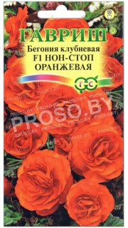 Бегония клубневая Нон-стоп оранжевая F1