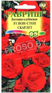 Бегония клубневая Нон-стоп скарлет F1