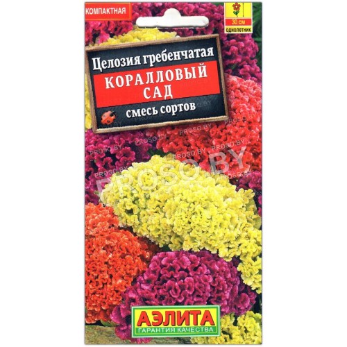 Целозия Коралловый сад, смесь-1