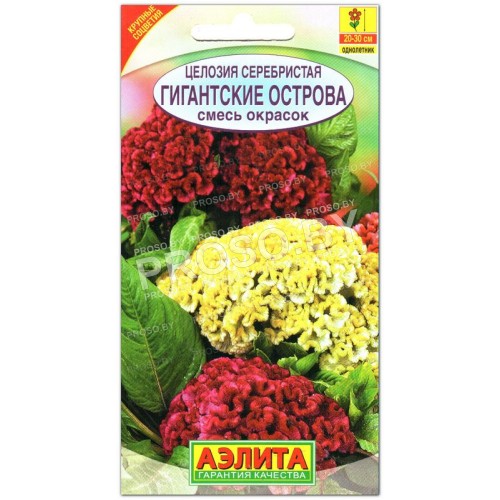Целозия Гигантские острова, смесь