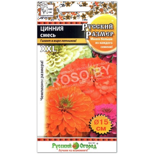 Цинния Русский размер, смесь