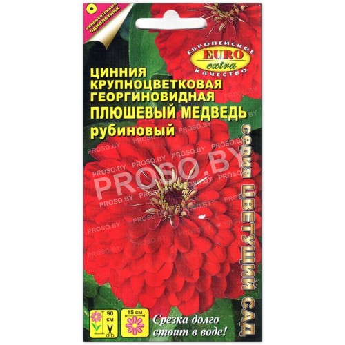 Цинния Плюшевый медведь рубиновый
