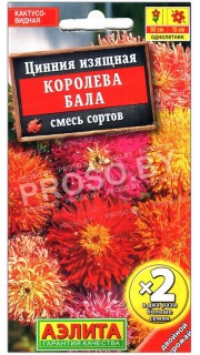Цинния изящная Королева бала, смесь