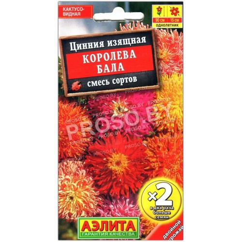 Цинния изящная Королева бала, смесь