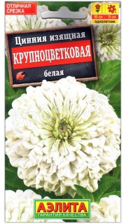 Цинния изящная Крупноцветковая белая
