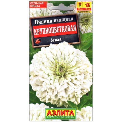 Цинния изящная Крупноцветковая белая