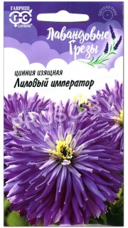 Цинния изящная Лиловый император