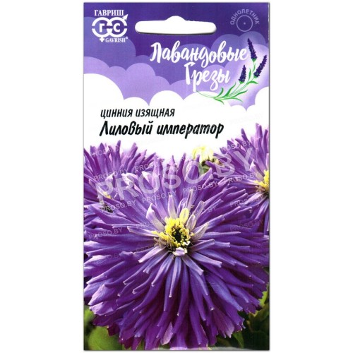Цинния изящная Лиловый император