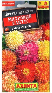 Цинния изящная Махровый кактус, смесь