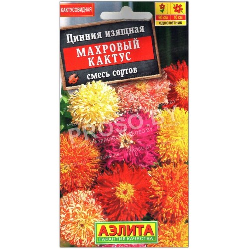 Цинния изящная Махровый кактус, смесь