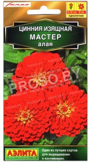 Цинния изящная Мастер алая