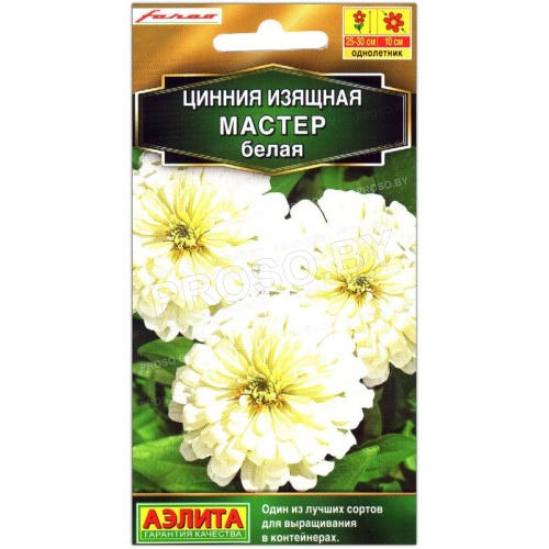 Цинния изящная Мастер белая