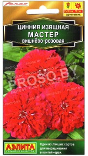 Цинния изящная Мастер вишнево-розовая