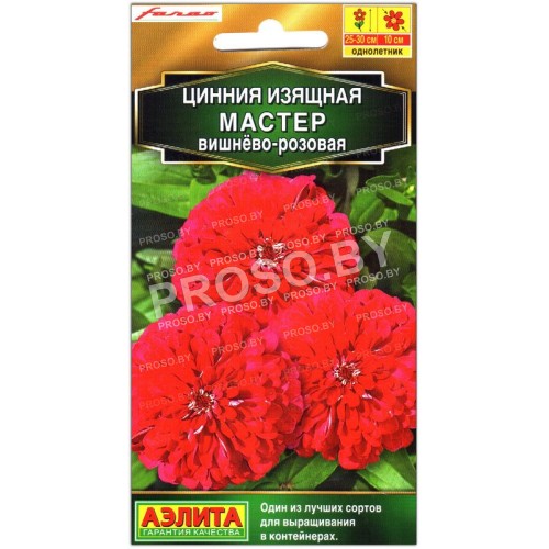 Цинния изящная Мастер вишнево-розовая
