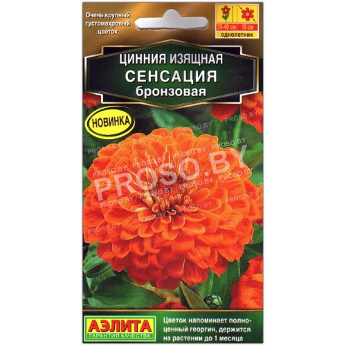 Цинния Сенсация бронзовая