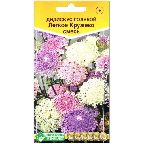 Дидискус голубой Легкое кружево, смесь