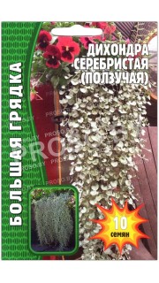 Дихондра ползучая Серебристая